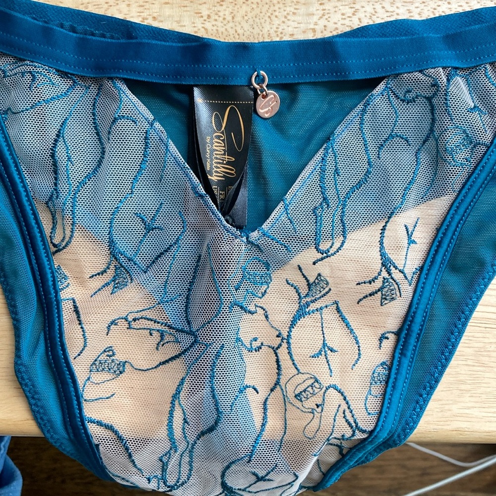 Curvy Kate Scantily Sex Education Thong NWT
